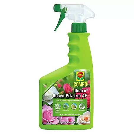 Compo  Rosen- & Zierpflanzen-Pilzfrei Duaxo AF