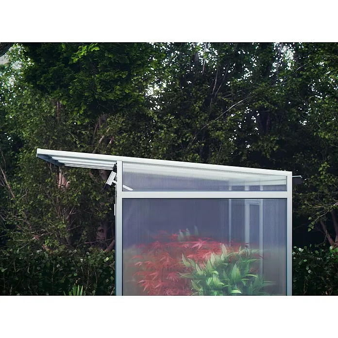 KGT Gewächshaus Linea I - Außenmaß inkl. Dachüberstand (B x T): 233 x 210 cm, 10 mm, Pressblank - Nahaufnahme eines Urban-Home-Gewächshauses, das Pflanzen beherbergt, vor einem Hintergrund aus üppigem Grün.