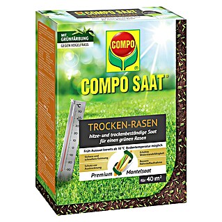 Compo Saat Rasensamen Trockenrasen (1 kg, 40 m²)