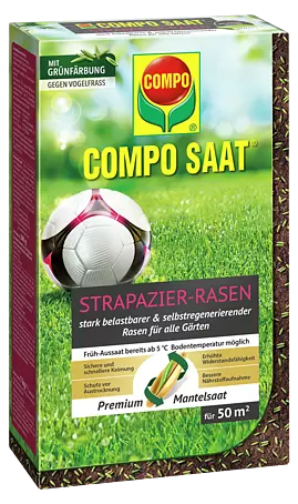 weie orchideen Weie Orchidee kaufen | Schlichte Eleganz fr Ihr Zuhause