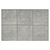 Terrastegel 3+1 Beton Grijs (Beton, l x b x d: 60 x 60 x 4 cm, Grijs) | BAUHAUS