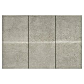 Terrastegel 3+1 Beton Greige (Beton, l x b x d: 60 x 60 x 4 cm, Greige) | BAUHAUS