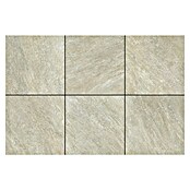 Keramische tegel Wave Creme (Keramiek, l x b x d: 60 x 60 x 2 cm, Creme) | BAUHAUS