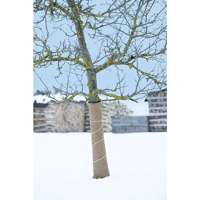 Floraworld Classic Kokosschutzmatte - 150 x 50 cm - Nahaufnahme eines kleinen Baumes mit einem Wickelstamm-Schutz, umgeben von Schnee und winterlicher Landschaft.