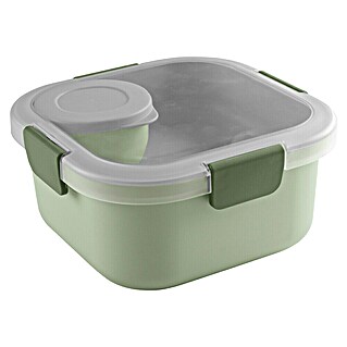 Sunware Sigma home Lunchbox Food to go (L x B x H: 17,7 x 17,7 x 8,7 cm)