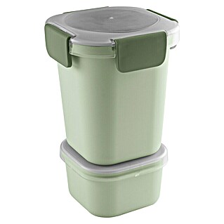 Sunware Sigma home Lunchbox Food to go (L x B x H: 11,5 x 11,5 x 18,5 cm)