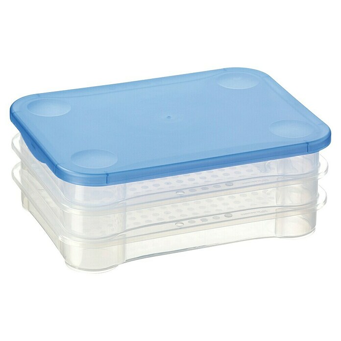Sunware Frischhaltedose Club Cuisine (L x B x H: 22,5 x 16,5 x 9 cm) | BAUHAUS