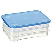 Sunware Frischhaltedose Club Cuisine (L x B x H: 22,5 x 16,5 x 9 cm) | BAUHAUS