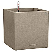 Lechuza Color Pflanzkasten Canto (30 x 30 x 30 cm, Kunststoff, Sandbeige)