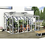 Vitavia Gewächshaus (2,66 x 3,97 x 2,39 m, Farbe: Weiß, Einscheibensicherheitsglas (ESG))