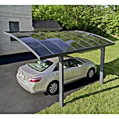 Palram Carport (4,95 x 2,9 m, Altura de entrada: 2 m, Carga de nieve: 75 kg/m²)