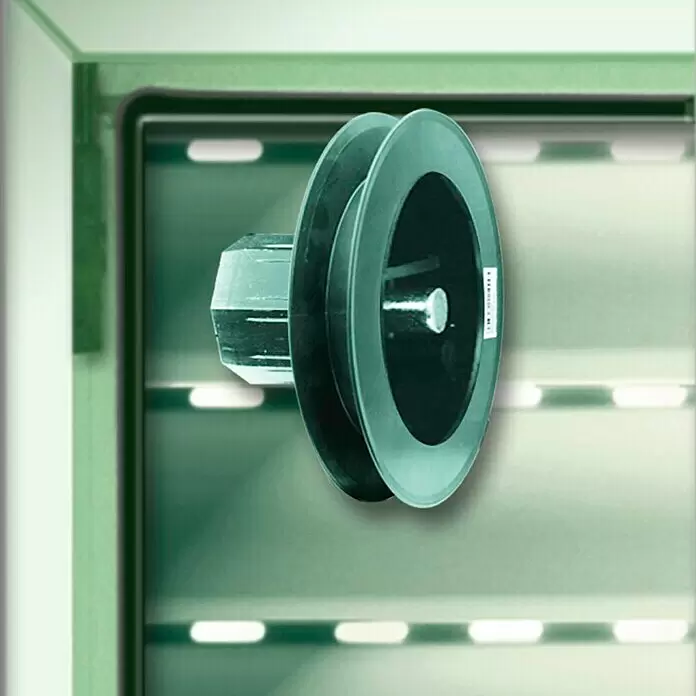 Schellenberg Disco de persiana Mini - Diámetro: 100 mm, Diámetro eje octogonal: 40 mm - Polea verde oscuro con accionamiento facetado para persianas.