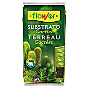 Flower Sustrato para cactus (5 l)