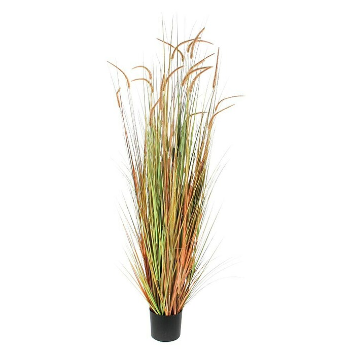 Umjetna biljka Cynosurus cristatus  (Visina: 180 cm, Plastika) | BAUHAUS