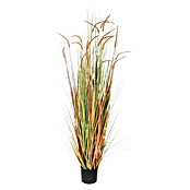 Umjetna biljka Cynosurus cristatus  (Visina: 180 cm, Plastika) | BAUHAUS
