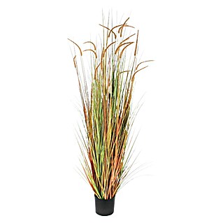 Umjetna biljka Cynosurus cristatus (Visina: 180 cm, Plastika)