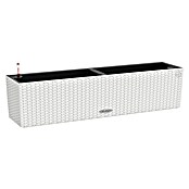 Lechuza Cottage Balkonsko korito Balconera  (Maksimalna zunanja dolžina: 80 cm, Plastika, Bela) | Balkonska korita | Cvetlična korita | Posode za rastline | Vrt in prosti čas | Izdelki | BAUHAUS