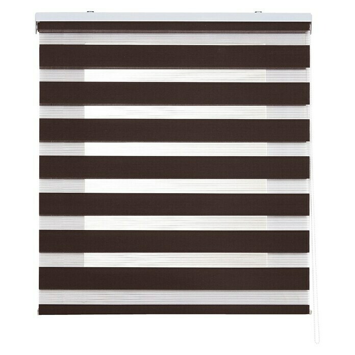 Estor noche y día Duolux (An x Al: 120 x 250 cm, Chocolate, Traslúcido)