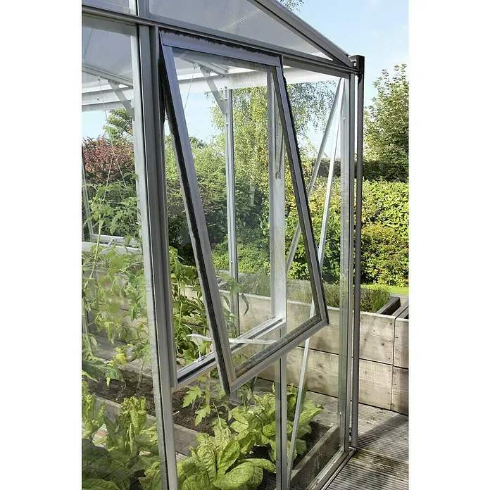 Vitavia Gewächshaus Helena 11900 Plus - Außenmaß inkl. Dachüberstand (B x T): 460 x 266 cm, 3 mm, Aluminium - Nahaufnahme eines Gewächshauses mit einem geöffneten Fenster, das Einblicke in das Innere mit Pflanzen und das Äußere mit üppigem Grün bietet.