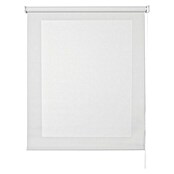 Estor enrollable Roll-up Screen (An x Al: 200 x 250 cm, Blanco, Traslúcido)
