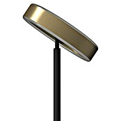Tween Light Lámpara de pie LED Orlando (Altura: 180 cm, Plata, Plata, Blanco cálido) | BAUHAUS