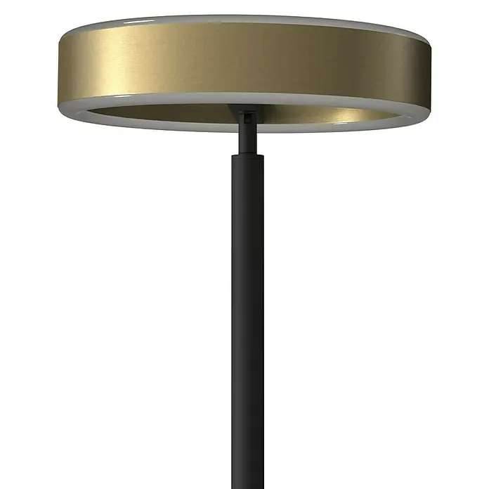 Tween Light LED-Stehleuchte Orlando - Höhe: 180 cm, Sandschwarz, Messing gebürstet, Warmweiß - Elegante Stehlampe mit einem goldfarbenen Lampenschirm und einem schlanken, schwarzen Ständer. Ideal für modernes Wohnambiente.