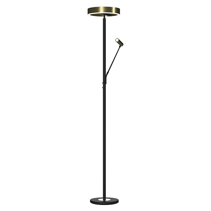 Tween Light Podna LED svjetiljka Orlando  (Visina: 180 cm, Crna, Mesing, Topla bijela) | BAUHAUS