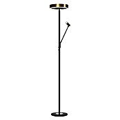 Tween Light Podna LED svjetiljka Orlando  (Visina: 180 cm, Crna, Mesing, Topla bijela) | BAUHAUS