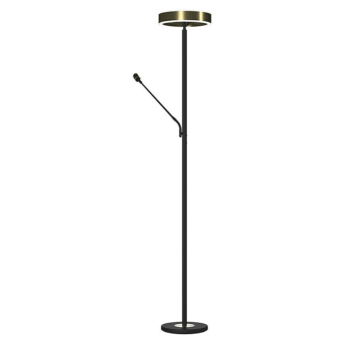 Tween Light LED-Stehleuchte Orlando (Höhe: 180 cm, Sandschwarz, Messing gebürstet, Warmweiß) | BAUHAUS