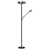 Tween Light LED-Stehleuchte Orlando (Höhe: 180 cm, Sandschwarz, Messing gebürstet, Warmweiß) | BAUHAUS