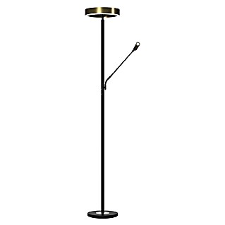 Tween Light LED-Stehleuchte Orlando (Höhe: 180 cm, Sandschwarz, Messing gebürstet, Warmweiß)