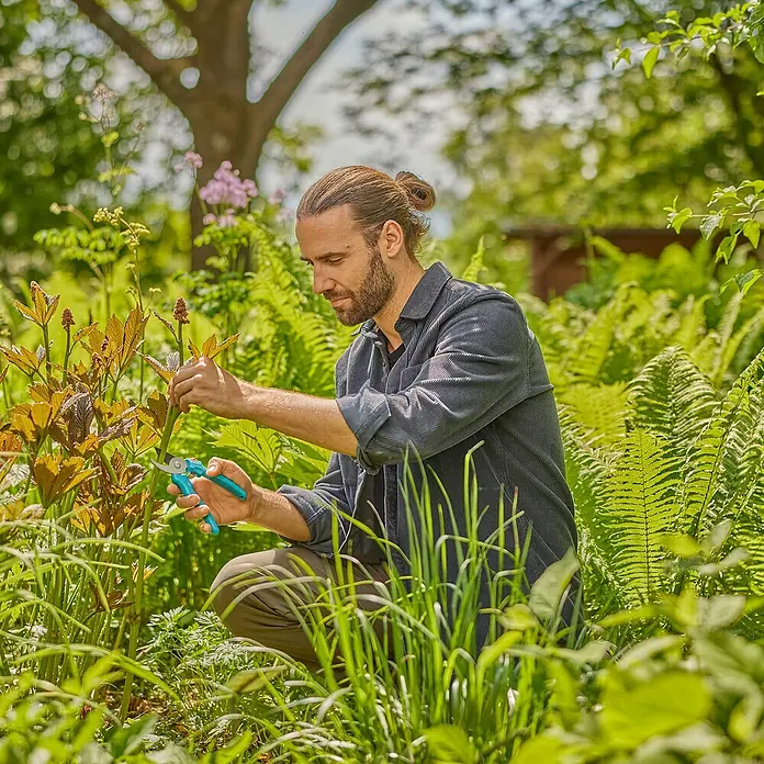 Gardena Tijeras de jardinería Easy Cut - Bypass, Grosor de rama máx.: 20 mm - Un hombre está arrodillado en un jardín, usando unas tijeras de podar azules para podar una planta. El jardín es exuberante y verde.