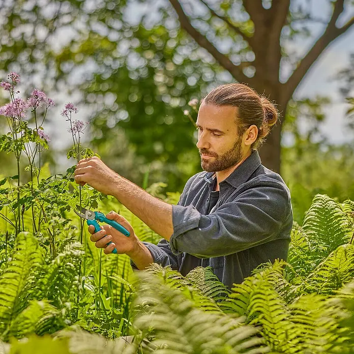 Gardena EasyCut Gartenschere - Max. Aststärke: 20 mm - Ein Mann schneidet mit einer blauen Gartenschere Pflanzen im Garten. Die Schere ist scharf und präzise für den Pflanzenschnitt.