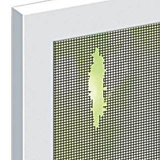 Schellenberg Insect System Cinta de reparación (L x An: 100 x 5 cm, Antracita)