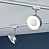 Paulmann URail Foco LED para riel (5 W, Blanco cálido, L x An: 9,8 x 5 cm)