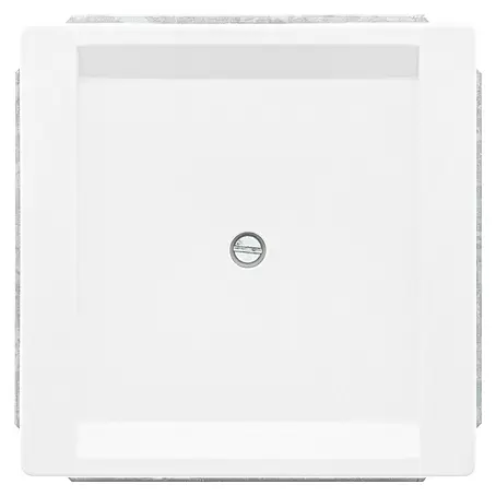 Siemens Delta Style Blindabdeckung SIE044318