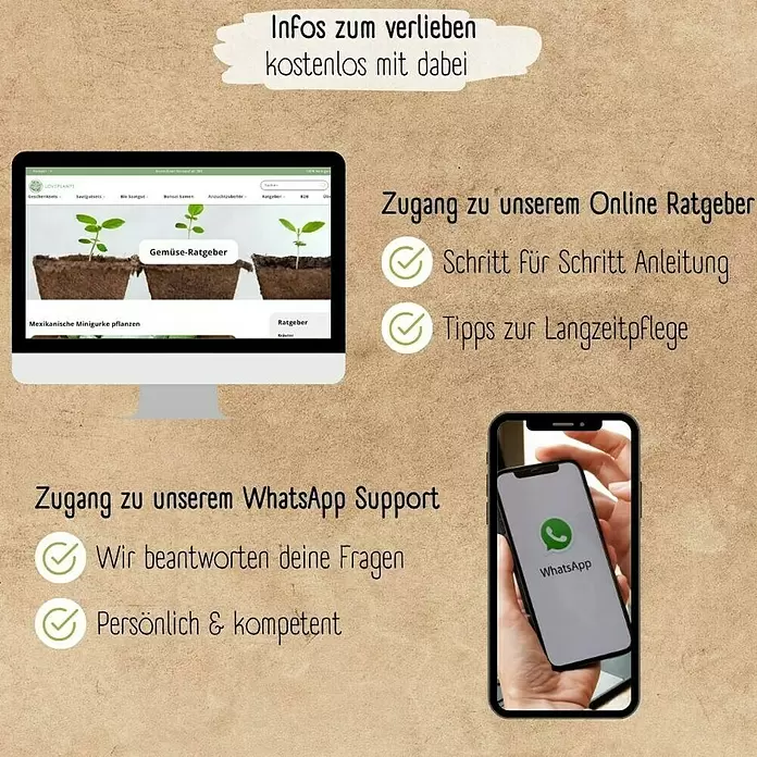 Gemüsesamen Set - 12 Stk., verschiedene Gemüsesorten - Bildschirme zeigen einen Online-Gartenratgeber und WhatsApp-Support, bieten Pflanzentipps und persönliche Hilfe.