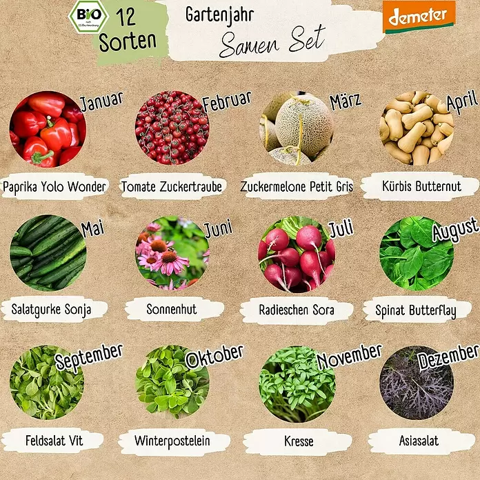 Gemüsesamen Dein Gartenjahr - 12 Stk., verschiedene Gemüsesorten - Bio-Samen-Set für ein Gartenjahr mit 12 verschiedenen Pflanzensorten.