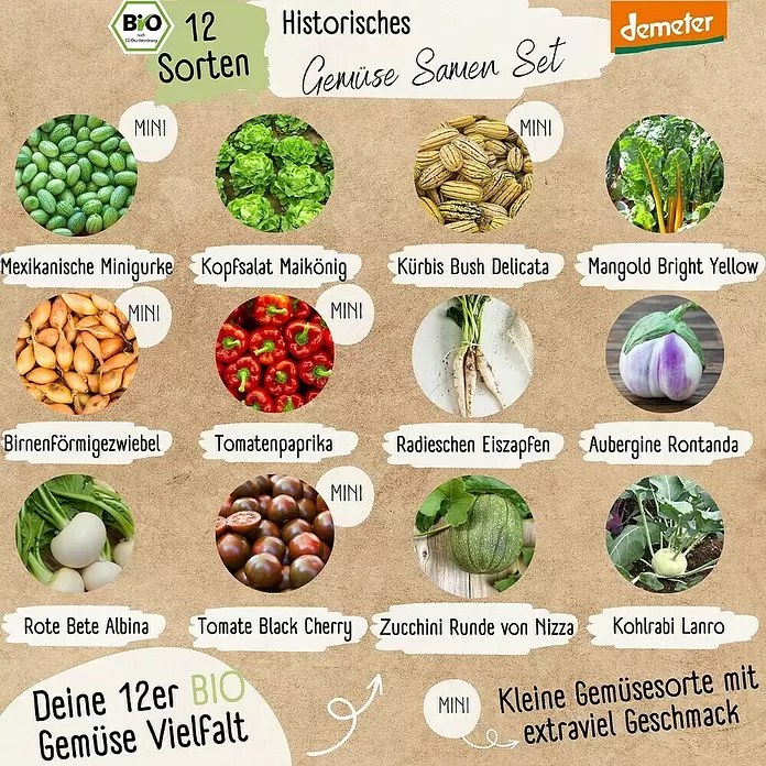 Gemüsesamen Demeter Historisches Gemüse - 12 Stk., Gemüse Samen Mix - Demeter Bio-Samen-Set mit 12 historischen Gemüsesorten, darunter Mini-Gurke, Kopfsalat, Kürbis und mehr.