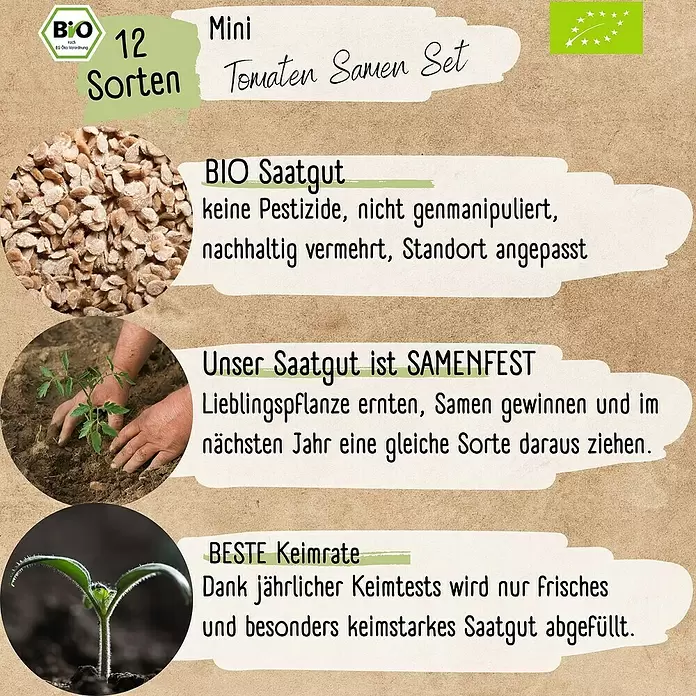 Gemüsesamen Mini-Tomatensamen Set - 12 Stk., Solanum lycopersicum, Erntezeit: Juli - Mini Tomaten Samen Set mit Samen, einer gepflanzten Jungpflanze und einem Keimling, betont Bio- und samenfeste Qualität.
