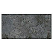 My Home Feinsteinzeugfliese (30 x 60 cm, Multi, Matt) | BAUHAUS