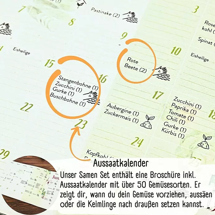 Gemüsesamen Dein Gartenjahr - 12 Stk., verschiedene Gemüsesorten - Aussaatkalender-Broschüre, die Termine für das Pflanzen verschiedener Gemüsesorten anzeigt.