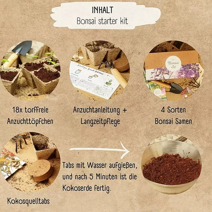 Bonsai Starter Set - verschiedene Sorten online kaufen bei BAUHAUS