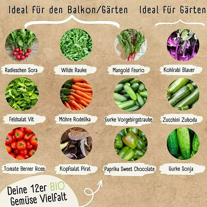 Gemüsesamen Set - 12 Stk., verschiedene Gemüsesorten - Auswahl von 12 Bio-Gemüsesorten, darunter Radieschen, Karotten und Gurken, ideal für Balkon oder Garten.