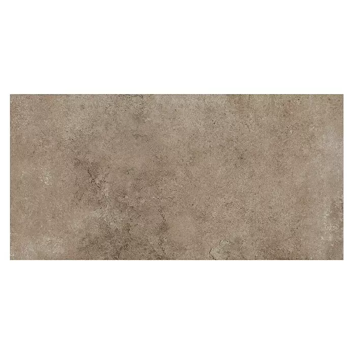 My Home Feinsteinzeugfliese - 30 x 60 cm, Taupe, Matt - Rechteckige bräunlich-graue Fliese mit strukturierter, gesprenkelter Steinoberfläche.