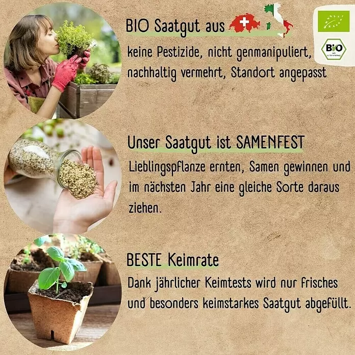 Kräutersamen Set - 12 Stk., verschiedene Kräuter - Infografik für Bio-Saatgut, samenfest und keimstark, zeigt Kräuter, Samen und Setzlinge.