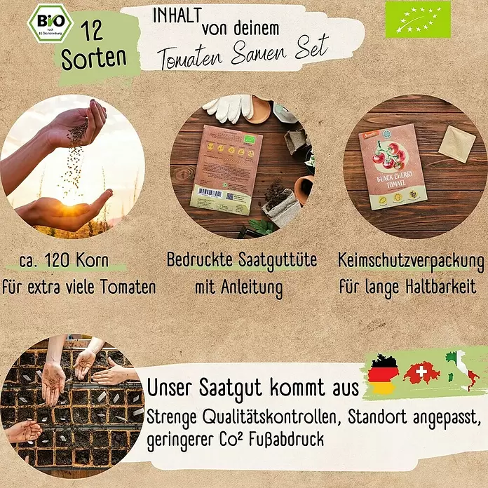Gemüsesamen Mini-Tomatensamen Set - 12 Stk., Solanum lycopersicum, Erntezeit: Juli - Eine Collage präsentiert ein 12-Sorten Bio Tomaten Samen Set mit Samen, Samentüten, Pflanzanleitung und Qualitätshinweisen.