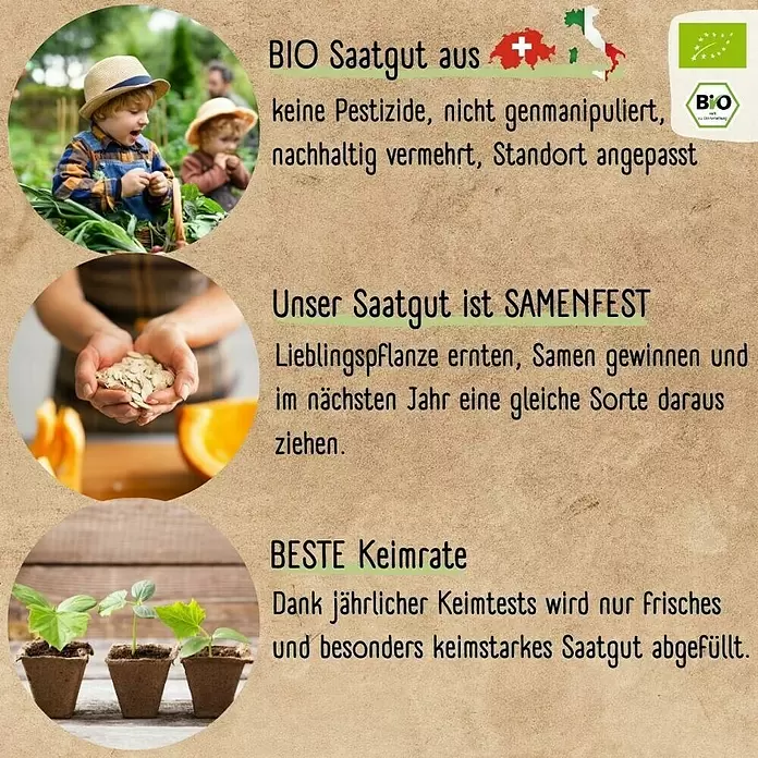 Gemüsesamen Set - 12 Stk., verschiedene Gemüsesorten - Bio-Saatgut-Collage: Kinder gärtnern, Hände halten Samen, junge Keimlinge. Betont samenfestes Saatgut mit hoher Keimrate.