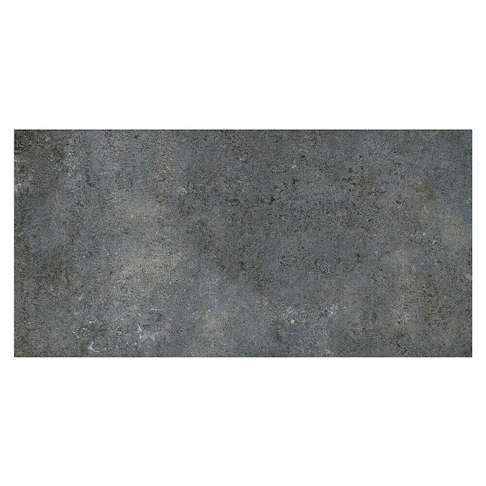 My Home Feinsteinzeugfliese (30 x 60 cm, Multi, Matt) | BAUHAUS