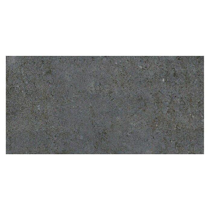 My Home Feinsteinzeugfliese (30 x 60 cm, Multi, Matt) | BAUHAUS